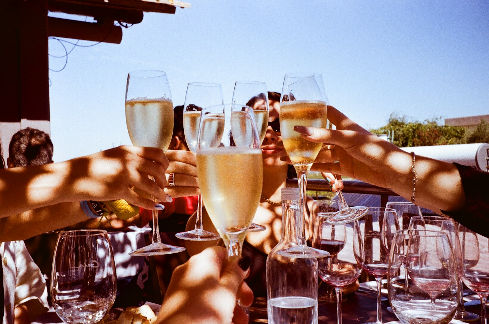 Friends toasting with wine glasses