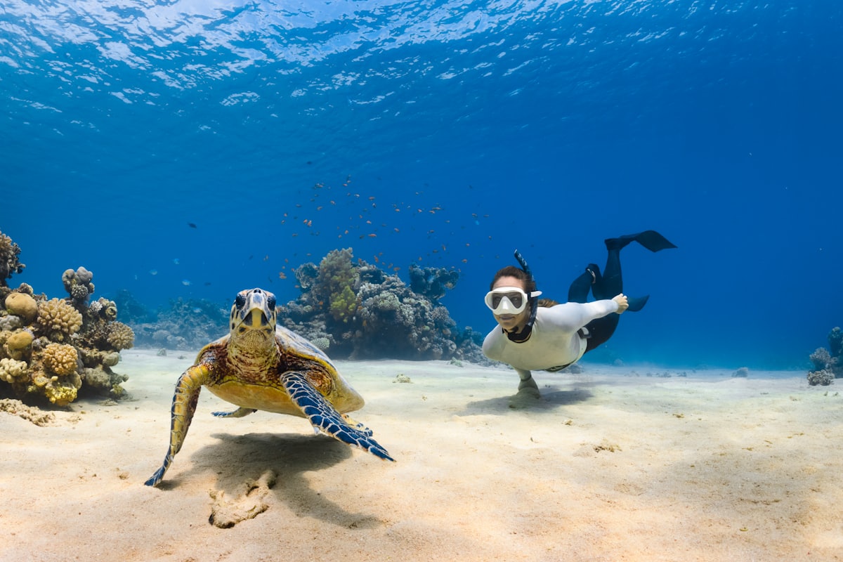 A snorkeler swimming alongside a sea turtle over a reef